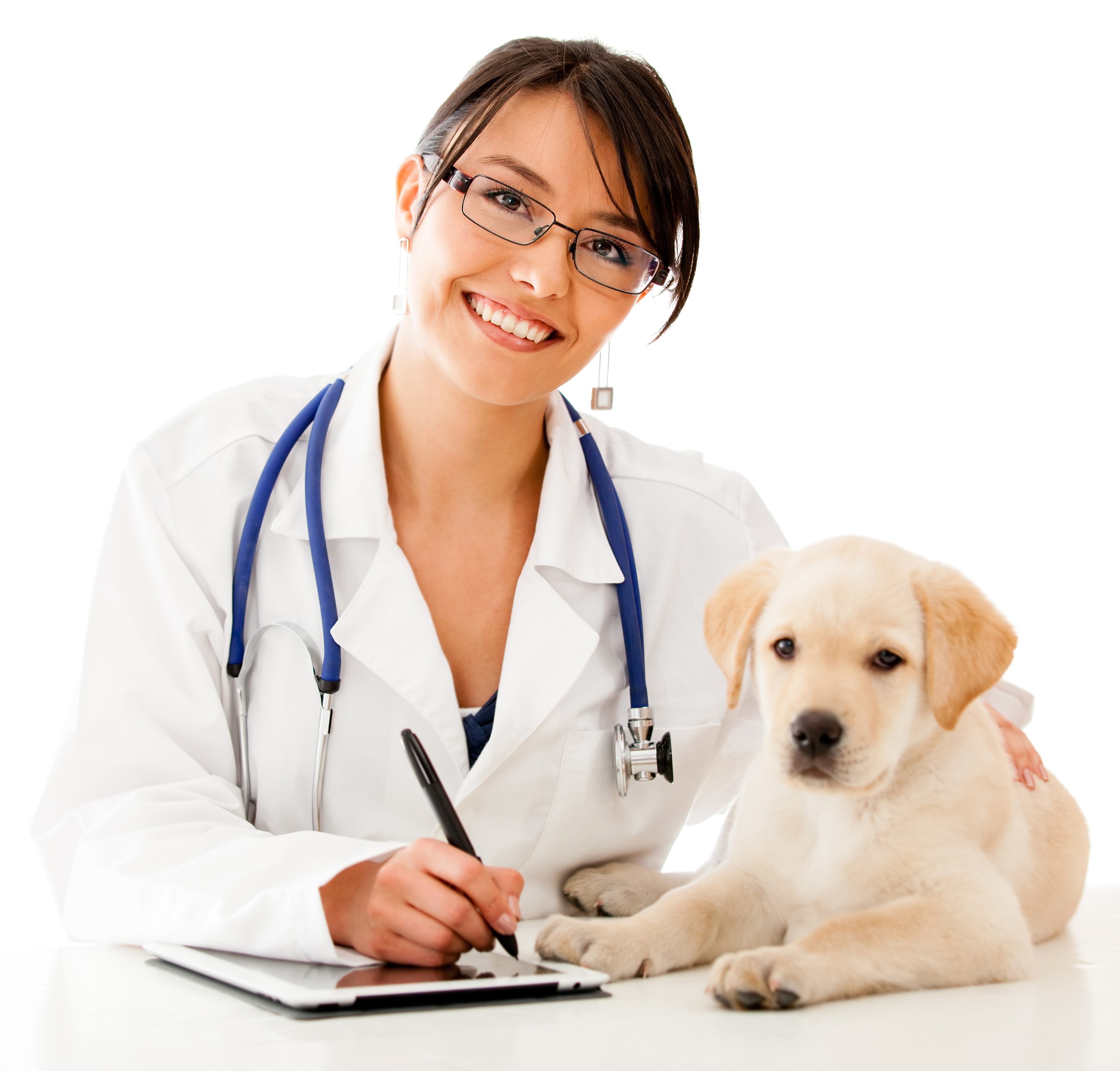 Emergency-Veterinary-Care at our 24-Hour Emergency Animal Hospital